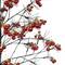 6ft. Pre-Lit Twig Artificial Christmas Tree, Warm White Micro LED Lights